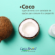 Coco - Super Alimento com Variedade de Opções de Consumi-lo